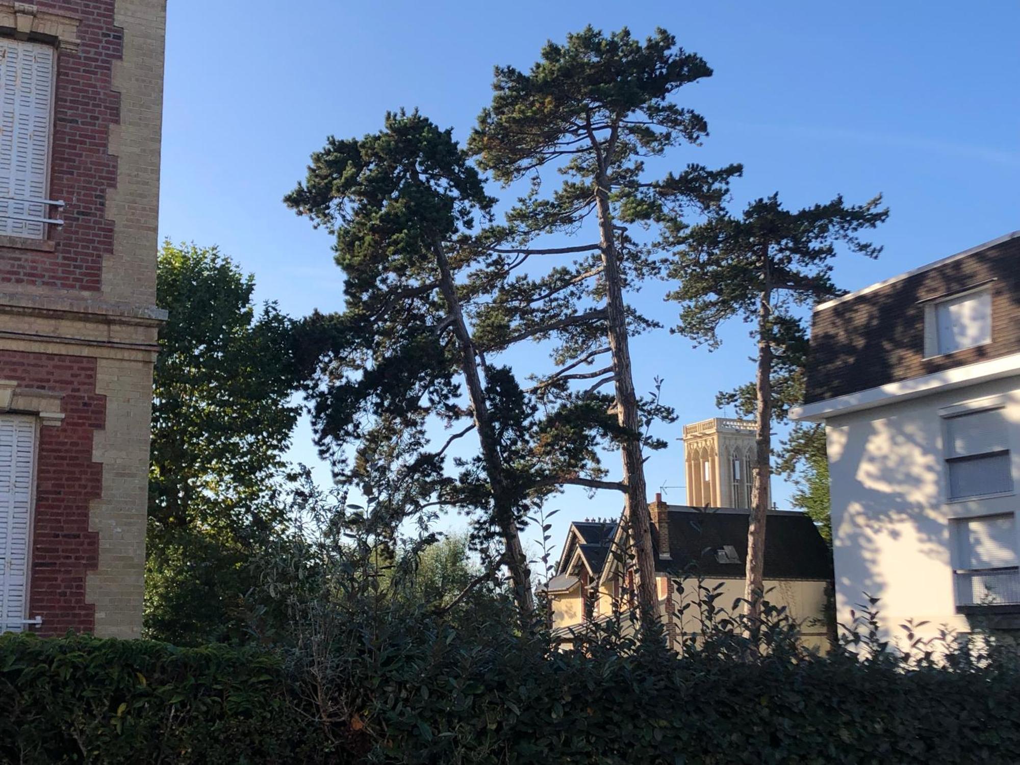 Apartmán Les Pins Penches Villers-sur-Mer Exteriér fotografie